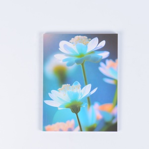 Recommended French Line Inner Page Exercise Book Student Special Daily <strong>Note</strong> Exercise Book Multi-specification <strong>NoteBook</strong> - Product Image 2