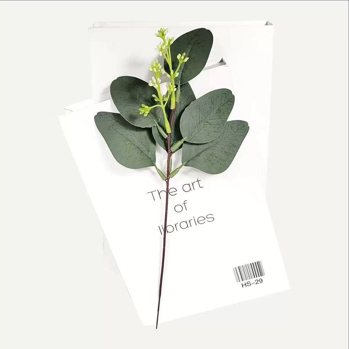 Eucalyptus with pointed fruit 32cm