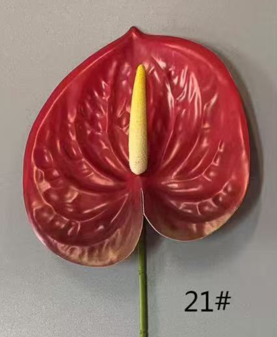Color6