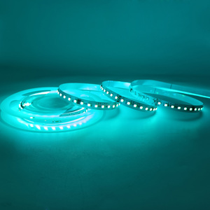 10mm 120LED DC24V 10 pixel WS2818 TM1934 indirizzabile RGB LED striscia per grandi progetti di illuminazione programmabili - Product Image 4