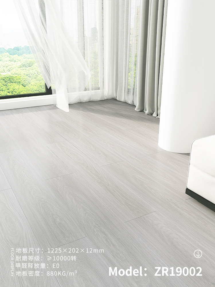 ZR19002 silver gray,