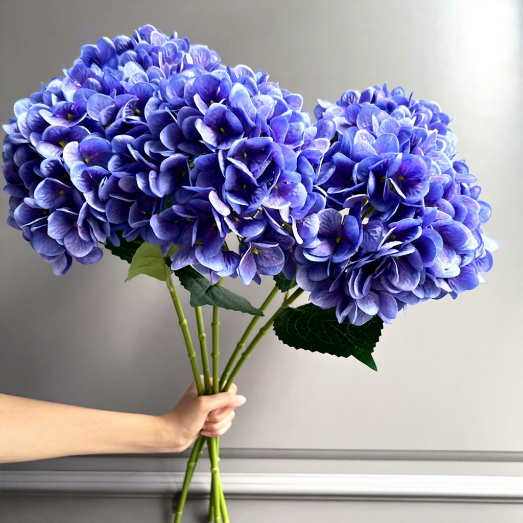 Nuevo modelo de color morado oscuro.
