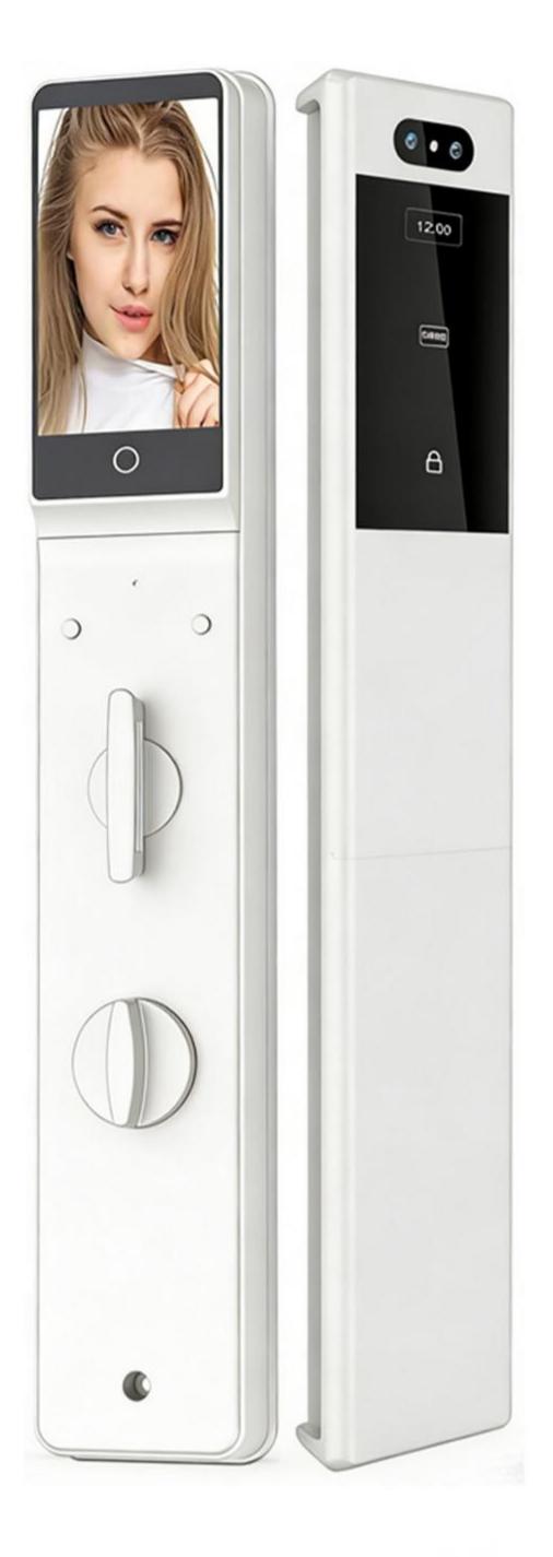 Porcelain white