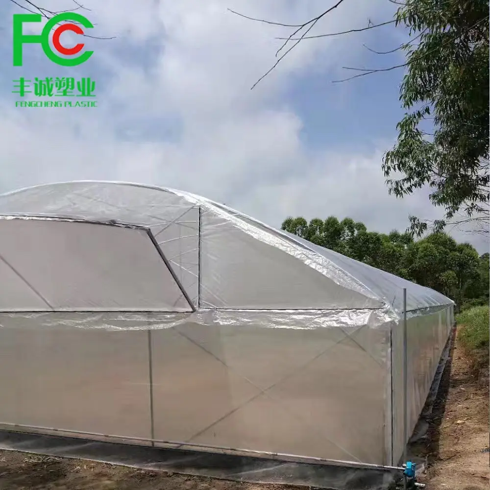 UV stabilized agricultural greenhouse polyethylene strong Polyweave fabric film /transparent woven greenhouse film