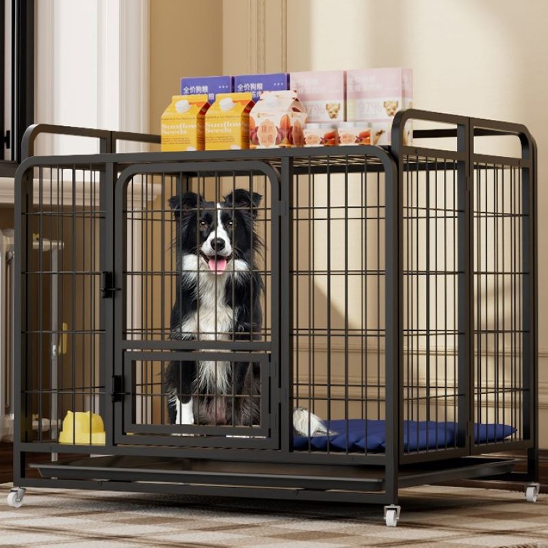 Étagère de rangement noire avec tubes carrés - pliable - sans installation