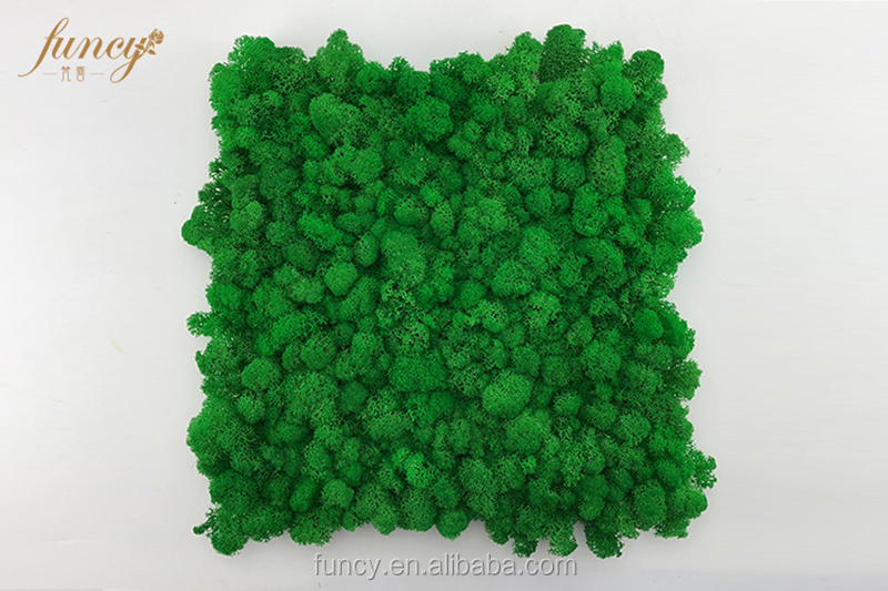 1 pomme verte