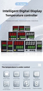 Termostato controlador de temperatura digital con interruptores controlados por temperatura (TDS) para instrumentos de temperatura