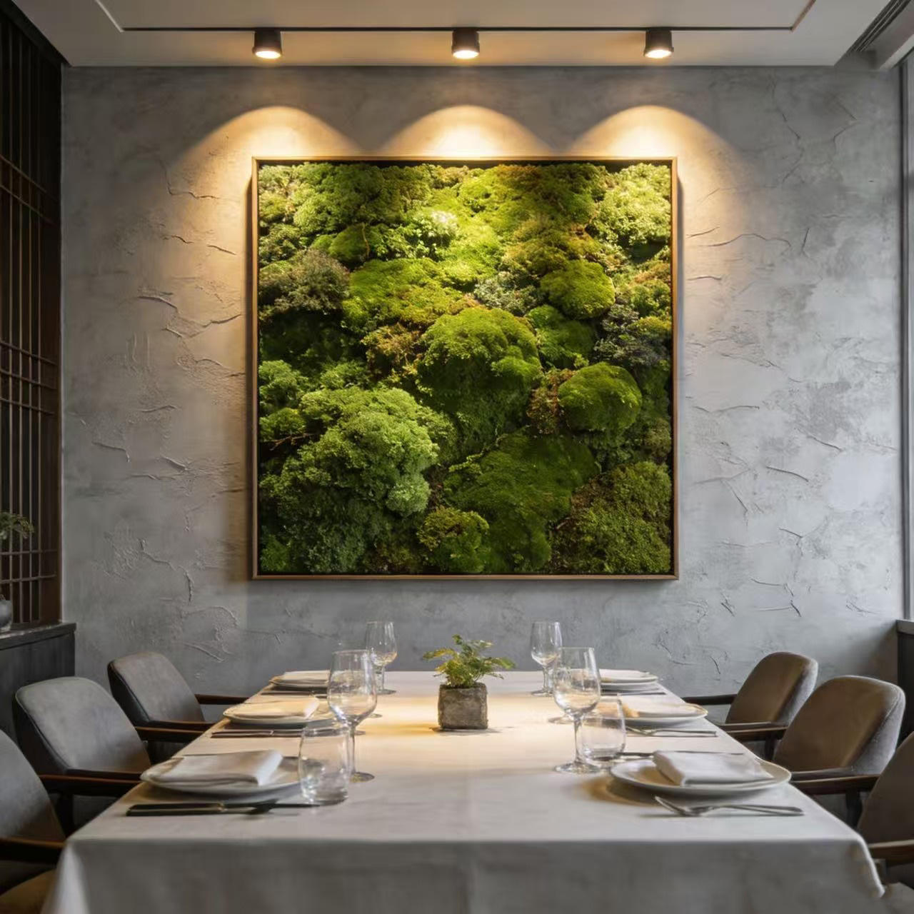 Photo de mousse naturelle sur bois d'olivier