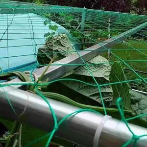 新型高端上市节省空间花园格架网用于观赏户外攀岩植物支持农业攀岩网