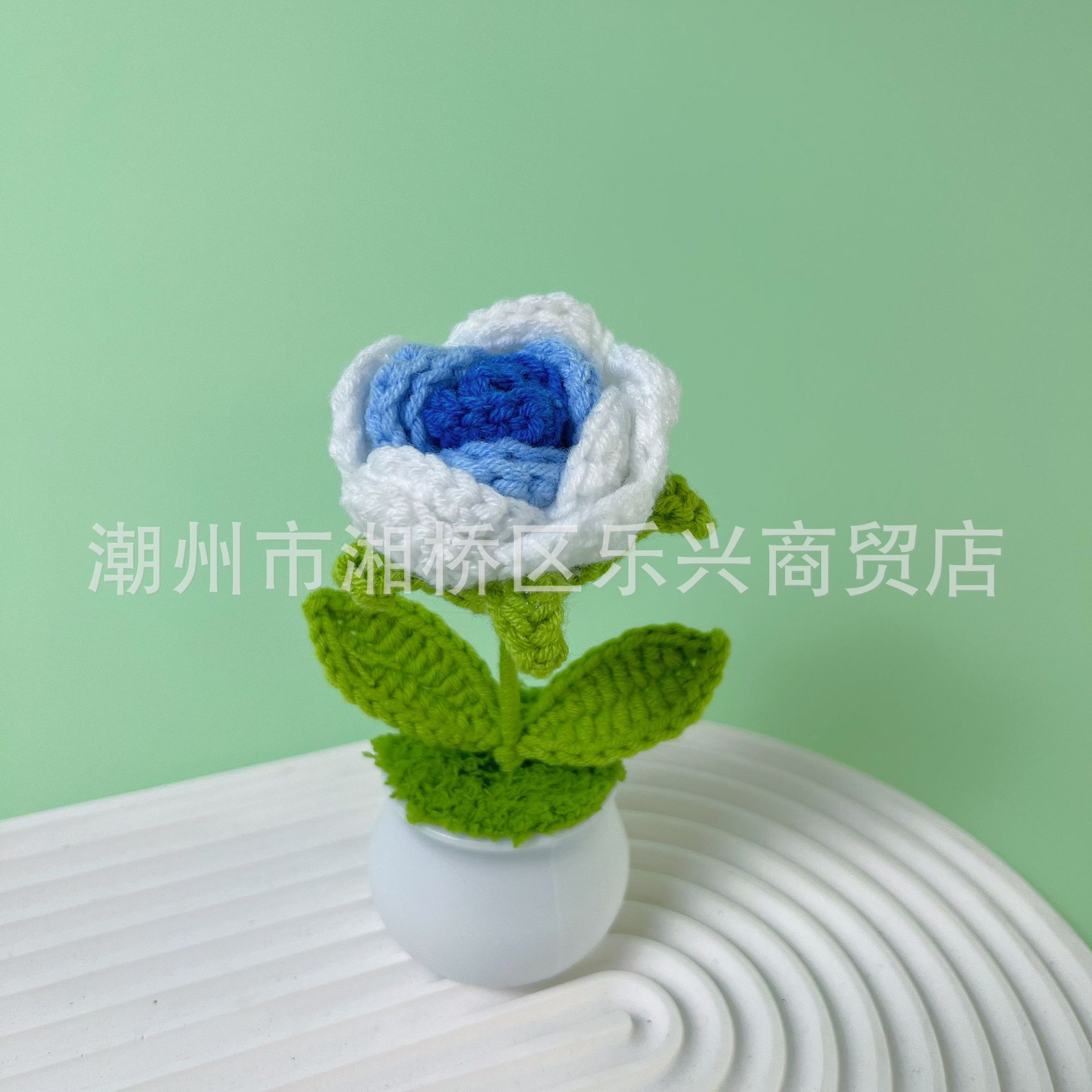 Rose gradient blue small pot plant