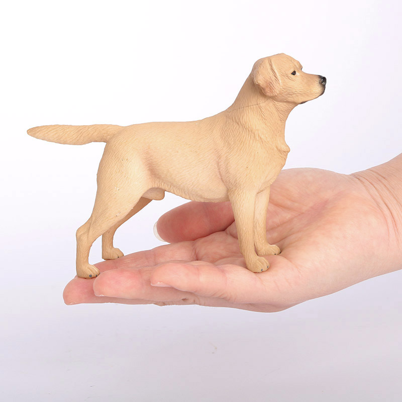2269 Perro Labrador