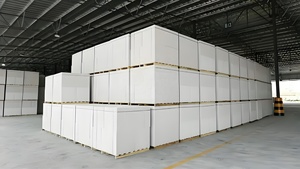 2024 Full Automatic Aac Production Line Autoclaved Aerated Concrete Lightweight Block and <strong>Panel</strong> <strong>Alc</strong> Plant Manufacturer in China