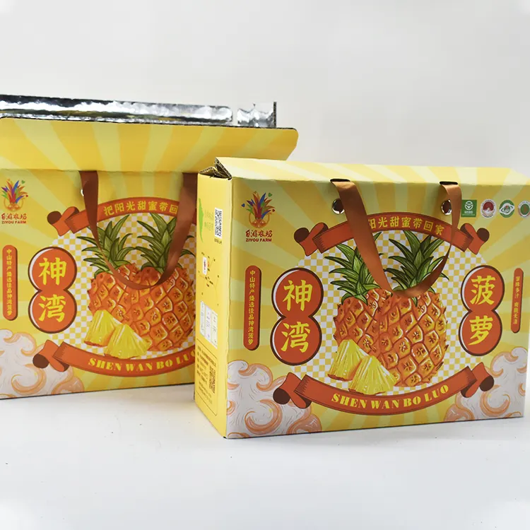 Atacado 72 Horas Isolado Refrigerador Alimentos Congelados Fruta Transporte Caixas De Embalagem Kraft Papel Ondulado Caixa Caixas Rígidas Aceitar