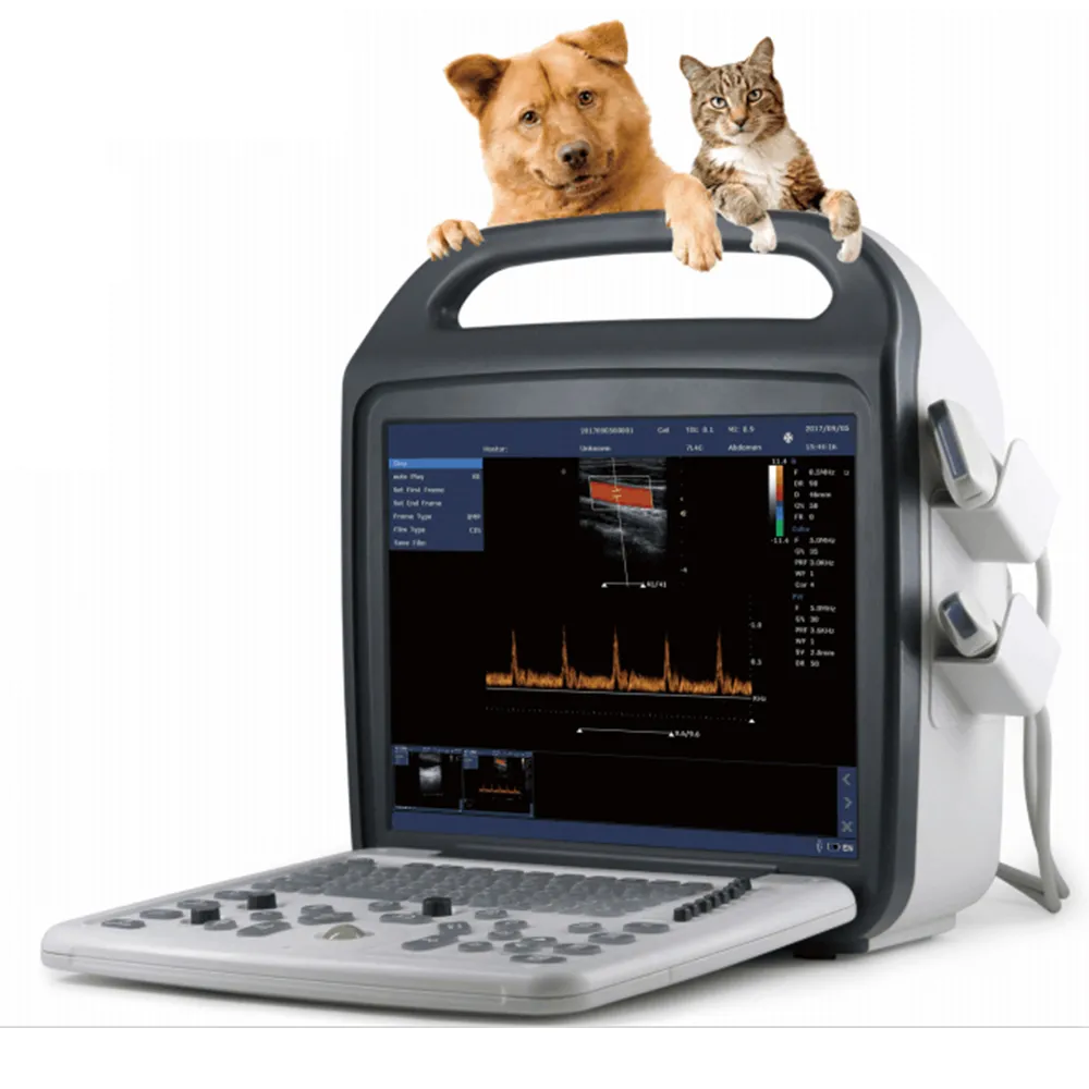 Instrument médical Doppler couleur entièrement numérique ecografo veterinaria scanner à ultrasons vétérinaire portable machine à ultrasons vétérinaire