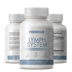 OEM Dandelion ekstrak akar Burdock suplemen detoksifikasi limfatik kapsul pembersih kesehatan 60 Kapsul Vegetarian - Product Image 2