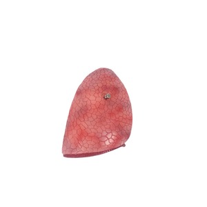 PVC Anatomical Model of <strong>Larynx</strong> Heart Lung for Medical Teaching &amp; Asthma Demonstration for Schools and Hospitals - Product Image 4