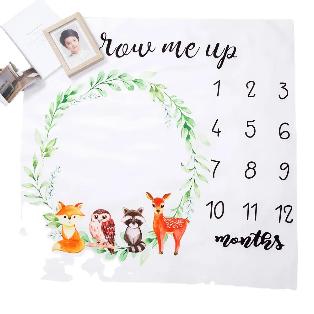 Wholesale Newborn Girls Boys Photo Prop Soft Photography Background Baby Monthly Milestone Blanket