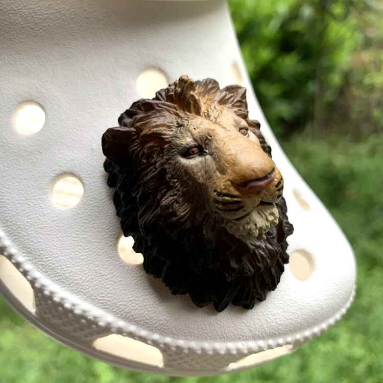 lion picture