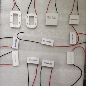 <strong>2025</strong> TEC1 Heatsink Thermoelectric Cooler Peltier Cooling Plate 12V Refrigeration Module with Different Size