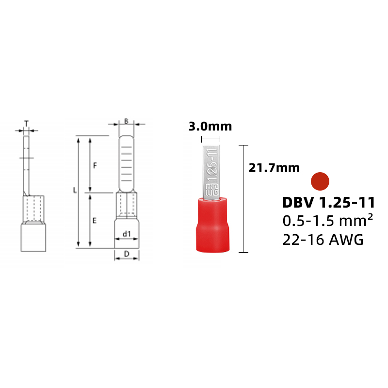 DBV1.25-11