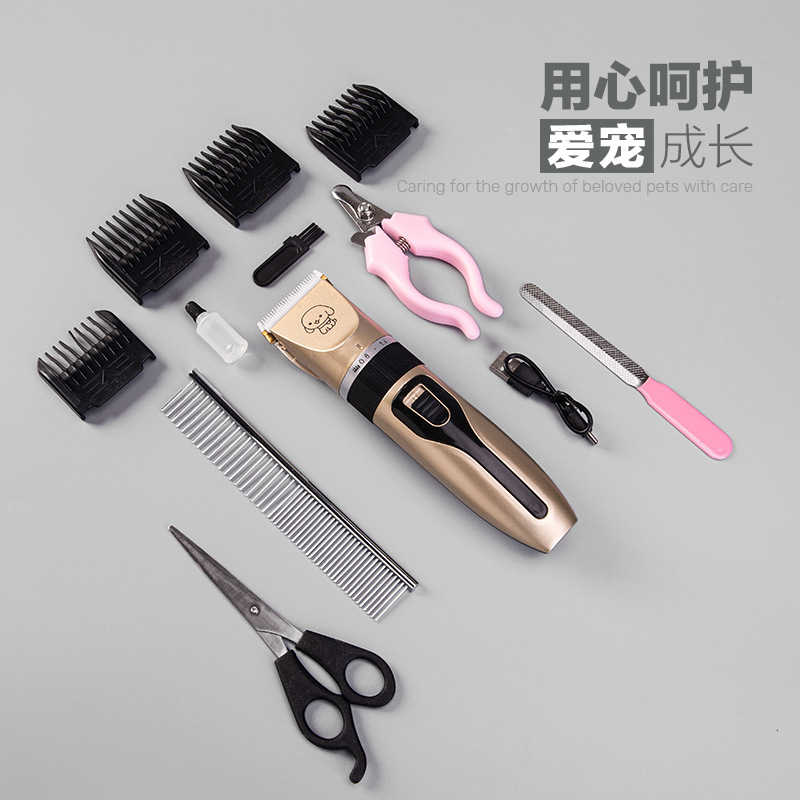 Gold Label Set (12 pieces)