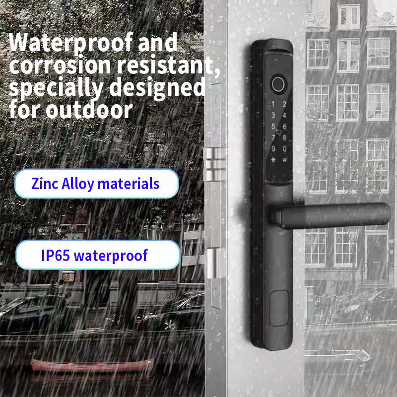 Doubwin Competitive Price S617 intelligent Waterproof Door Lock TTlock Smart Wifi Fingerprint Password Card Door Lock for Home