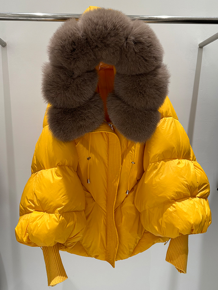 Renard brun orange