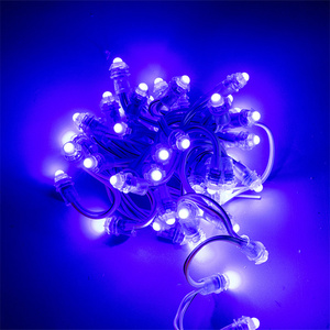 DC12V 12mm Waterproof IP68 Full <strong>Color</strong> Rgb Ws2811 <strong>Pixel</strong> <strong>String</strong> <strong>Led</strong> <strong>Module</strong> Addressable Ws2812b 30mm <strong>Led</strong> <strong>Pixel</strong> - Product Image 6