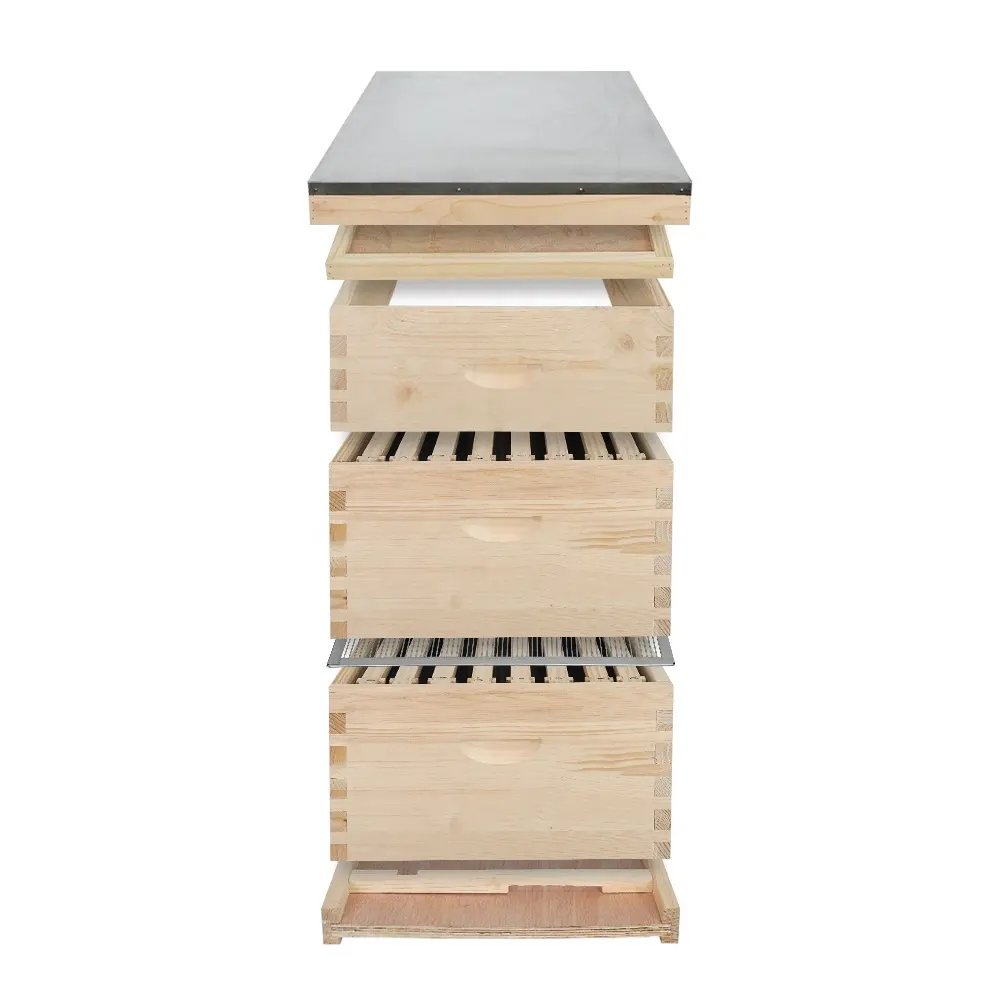 Boîte de ruche en bois 3 couches complète Langstroth 10 ruche d'abeilles de cadre pour l'équipement d'apiculture