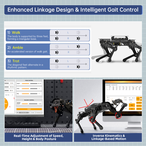 Hiwonder PuppyPi ROS Open Source quadrupede AI Vision interazione vocale AI grandi modelli ChatGPT Robot cane alimentato da lampone Pi - Product Image 4