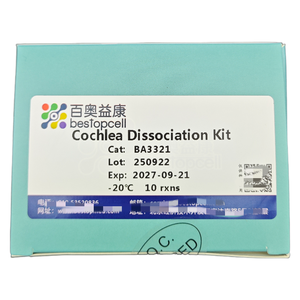 Kit Dissociação Cóclea (10 TESTE) Dissociação de Tecido para Pesquisa ISO 9001 BA3321 - Product Image 2