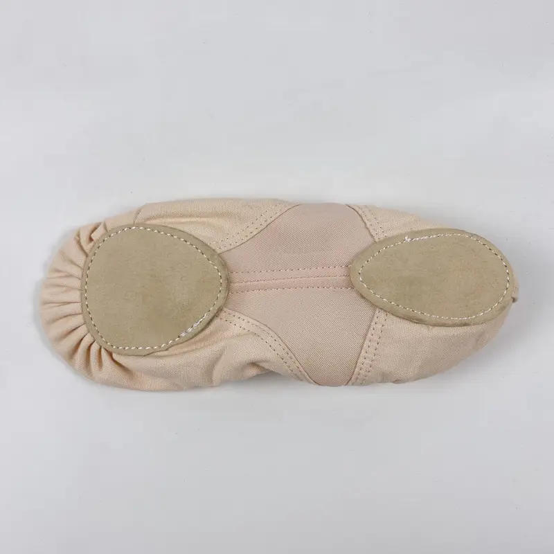 2022 heißer Verkauf Female Ballet Flats Tanz schuhe Stretch Balletts chuhe