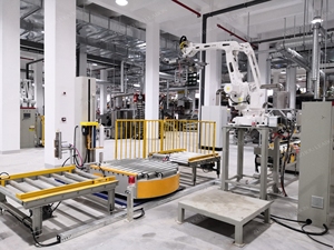 Prezzo di fabbrica braccio di trasporto per il carico e scaricare pesanti robot Palletzing Machine CNC Palletizer robotizzato con CE - Product Image 3