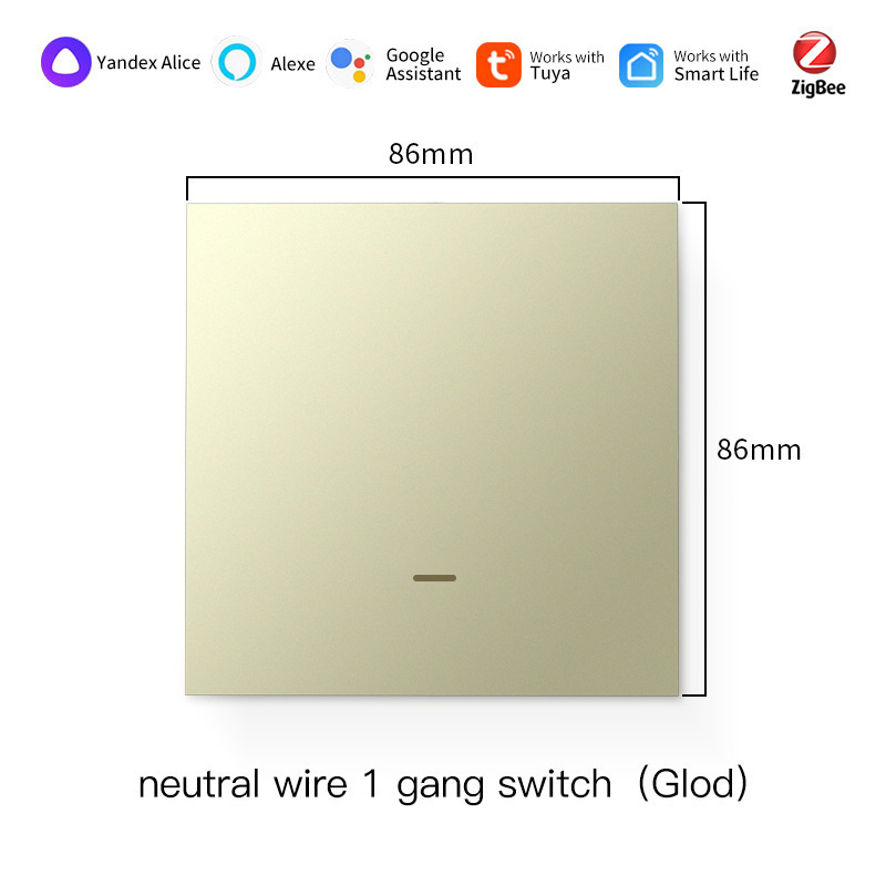 1gang