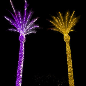 マトリックスプログラムクリスマス屋外ランドスケープデコレーションハロウィンIP67 LED RGBピクセルWS2811ストリングPVCココナッツパームツリーライト - Product Image 2