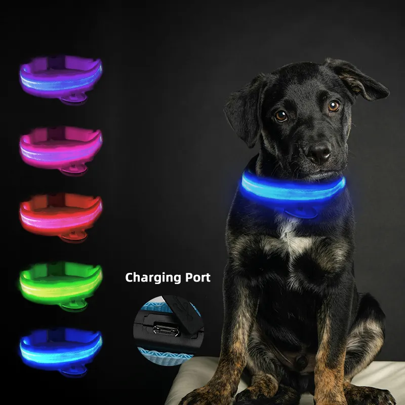 Personalizado suave Biothane ajustable reflectante luminoso Flash Light Up Collar de perro recargable Led Collar de perro