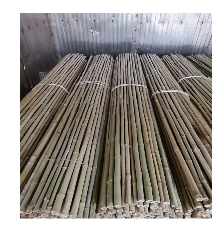Cerca de bambu branco barata com boa qualidade para jardim