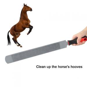Tùy chỉnh thực hiện rỉ sét miễn phí ngựa farrier rasps cho cưỡi ngựa sản phẩm cho móng vuốt vuốt chăm sóc bán buôn - Product Image 4