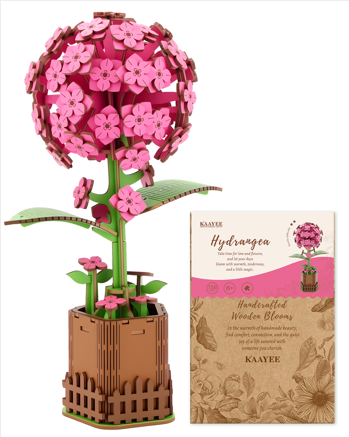 Hortensia