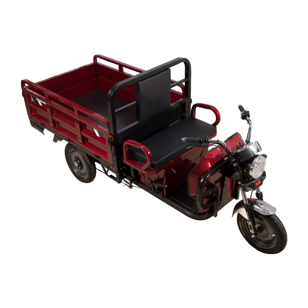 Vendite dirette della fabbrica 3 ruote Scooter elettrico Heavy Duty grande capacità tre ruote Cargo triciclo cina adulto