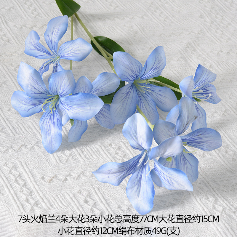 Orchidea a 7 fiamme blu scuro
