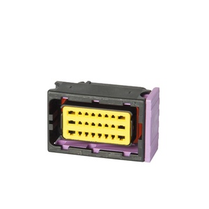 Delphi-conector de Terminal eléctrico automotriz, 211PC249S0033 PA66, 24 pines, macho, hembra, resistente al agua - Product Image 1
