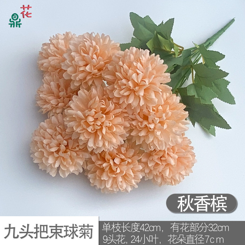 Bouquet de chrysanthèmes à neuf têtes, chrysanthème d'automne