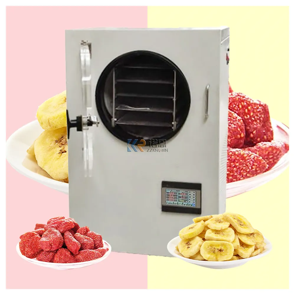 OEM 1-8kg Vacuum Fruit Freeze Secagem Secas Máquinas Mini Legumes Liofilizador Food Freezer Dryer para Venda 50 Caixa De Madeira Branco