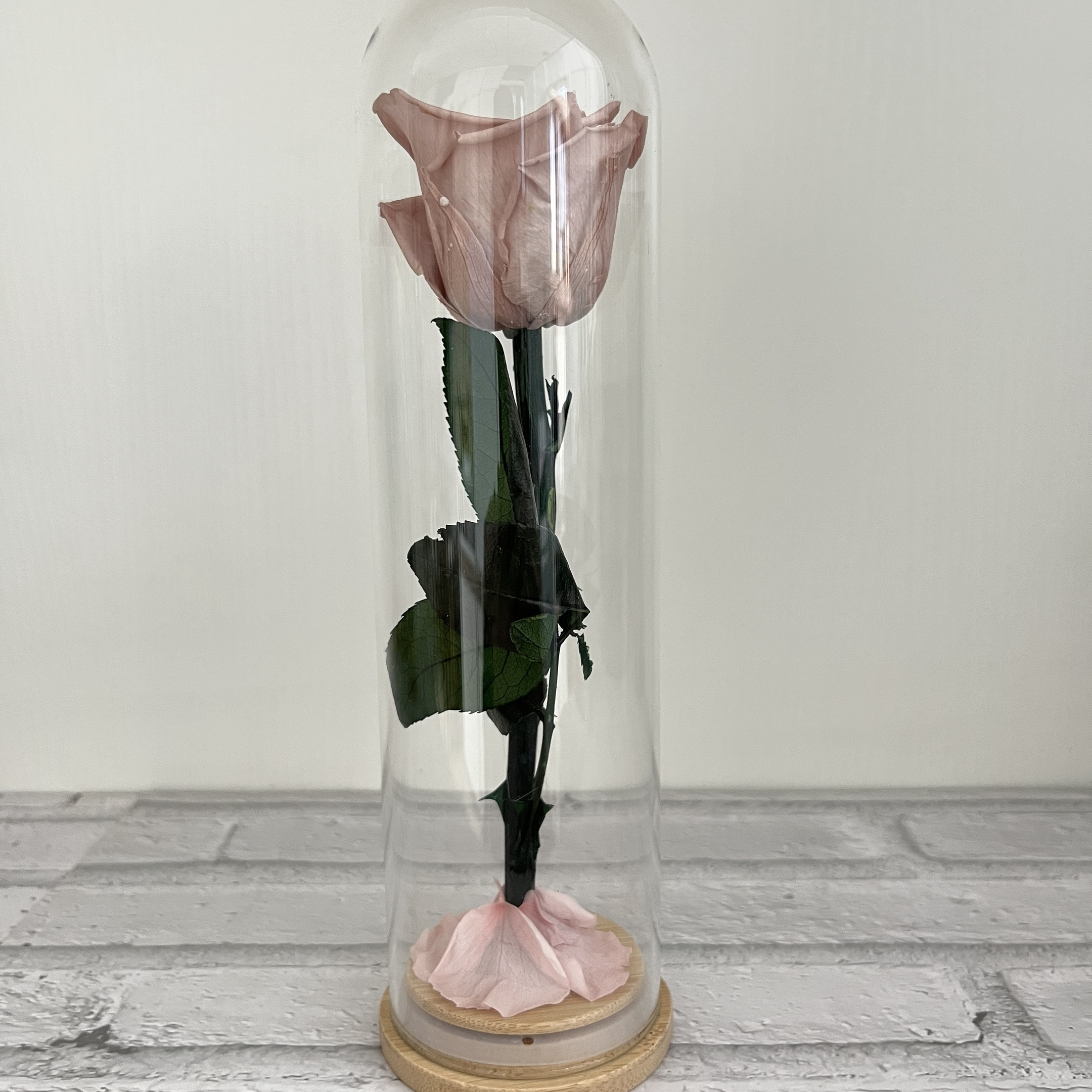 Rosa claro (7*23cm)
