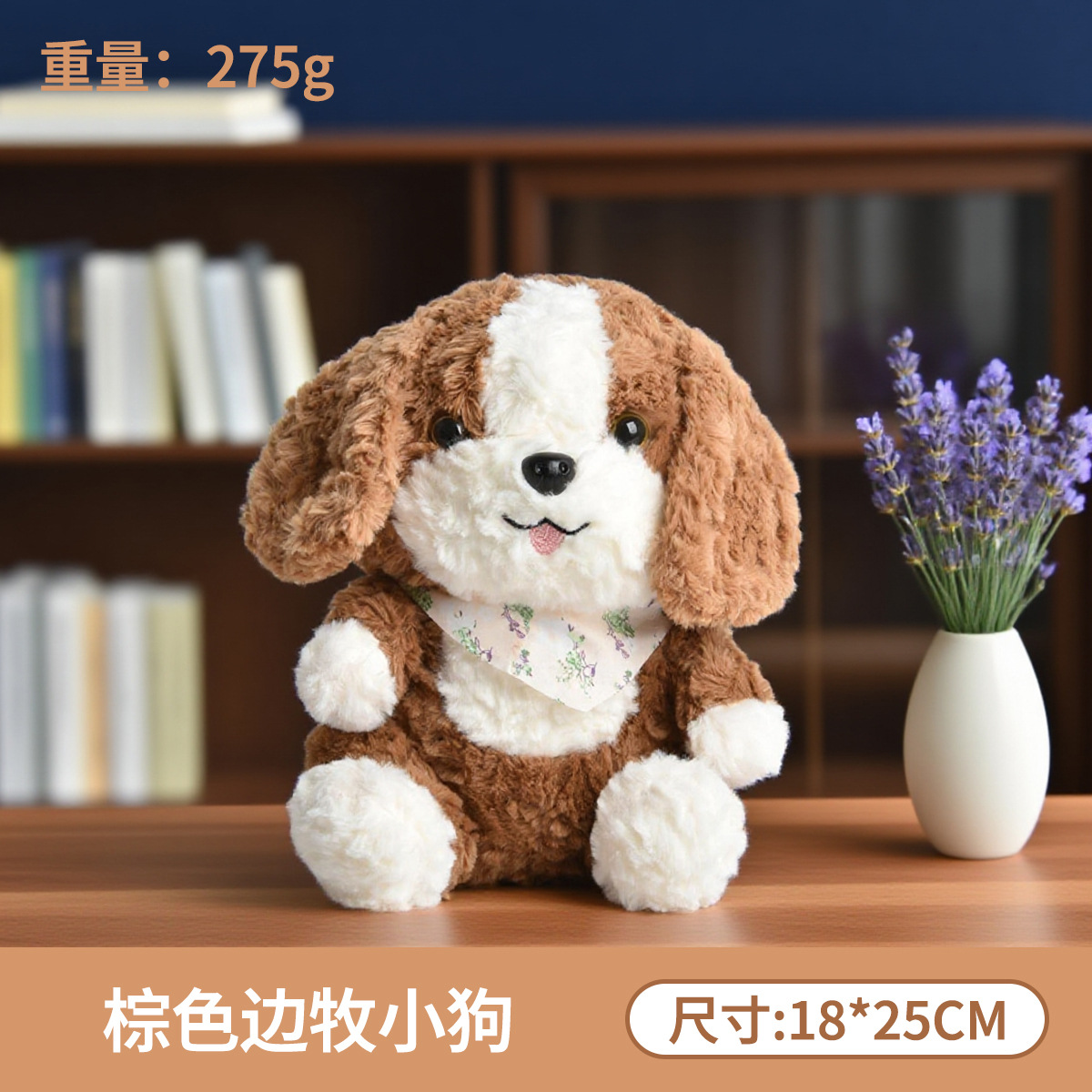Chiot border collie gris