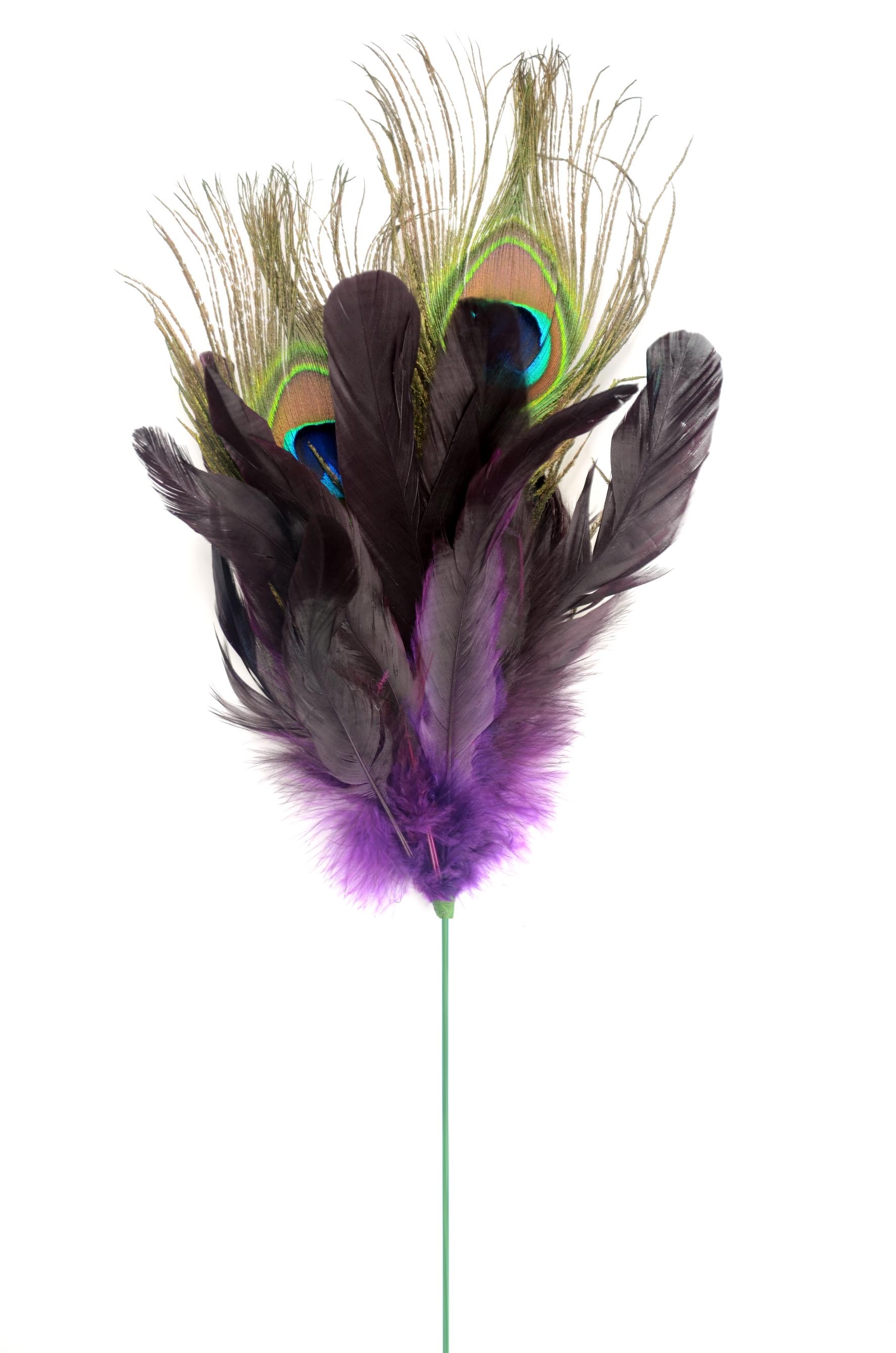 Viola