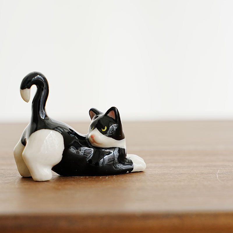 gato acostado
