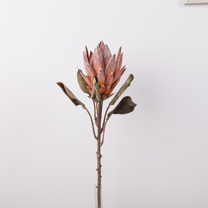 57cm rojo