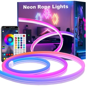 16.4FT33FT50FT <strong>LED</strong> 24V IP65 Waterproof 6*12MM 96LEDs/M Magic Color DIY Lighting Modes RGB IC Neon Lighting for Bedroom Design - Product Image 1